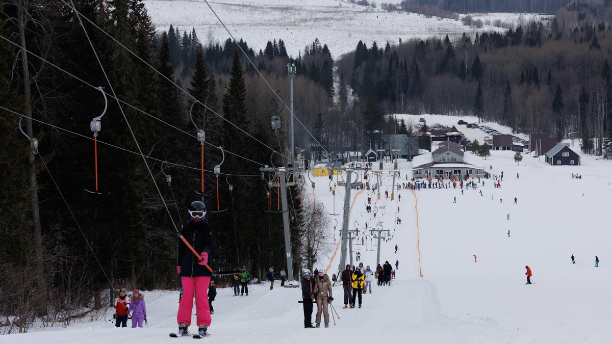     Источник: 1MI