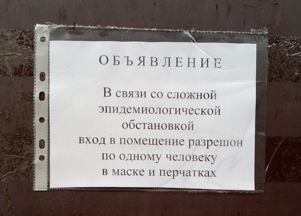 Вход «разрешон», зато в главном слове – «эпидемиологической» – ни одной ошибки! Выучили...