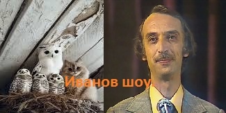 Кот, срвы и А.Иванов.