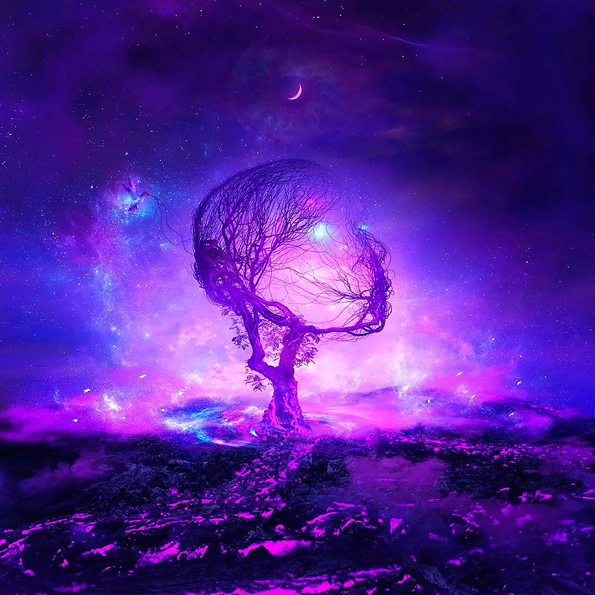 vedma.info отзывы