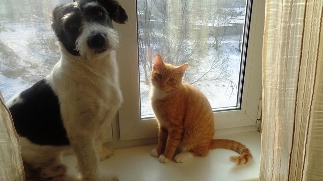     Автор: Пресс-служба УТ МВД России по ДФО, по материалам Находкинского ЛО МВД России на транспорте Источник: дфоут.мвд.рф