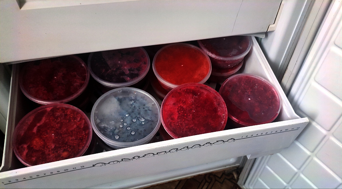 Малина, клубника, ежевика, жимолость, чёрная смородина, красная смородина