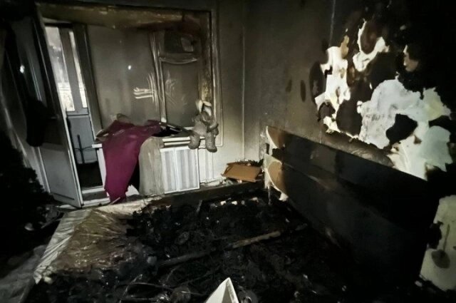    Фото: АиФ-Камчатка