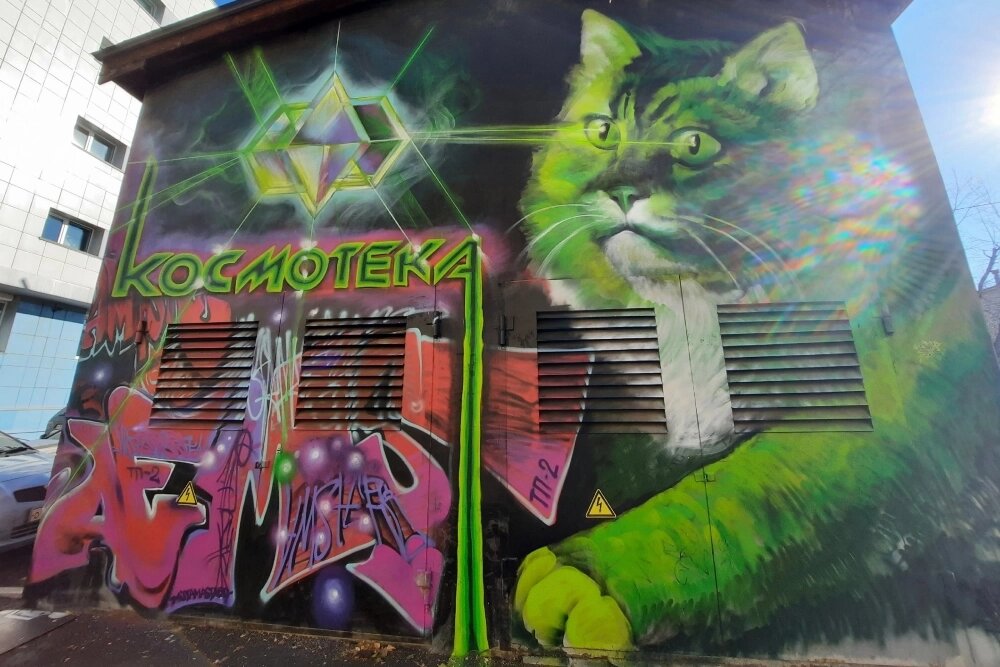    Фото:  АиФ/ Анна Попова