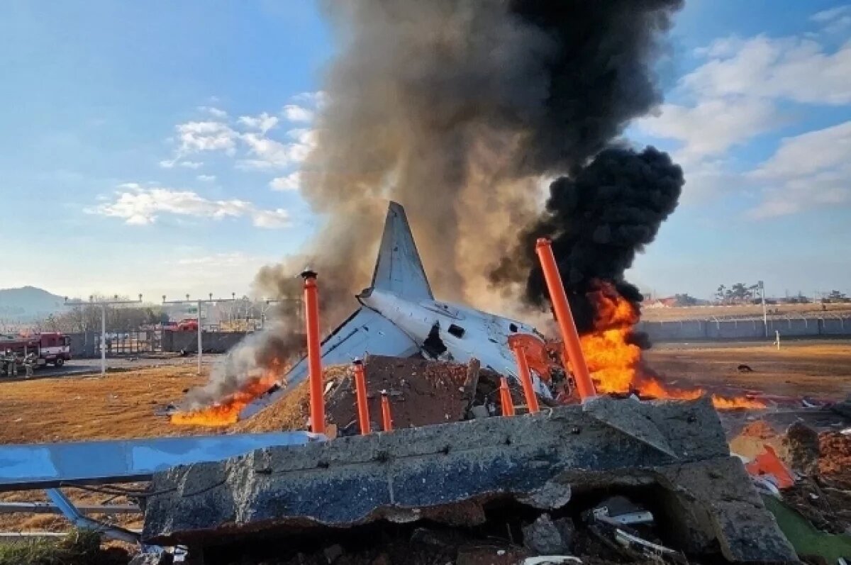    Число погибших при крушении самолёта в Южной Корее увеличилось до 47