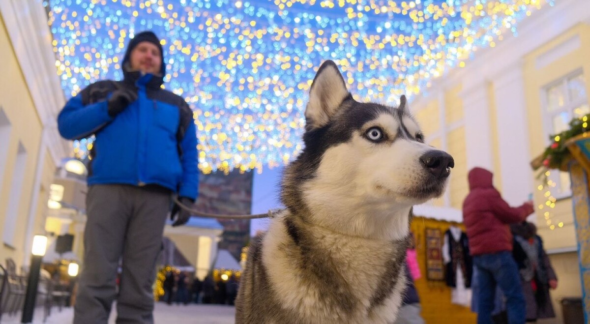 –.  Фото: ФедералПресс / Полина Зиновьева