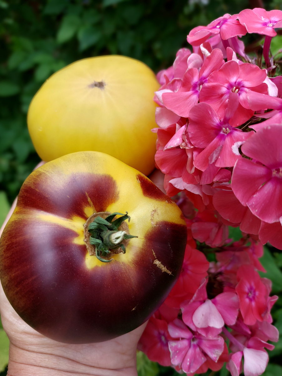 Большой белый блюз