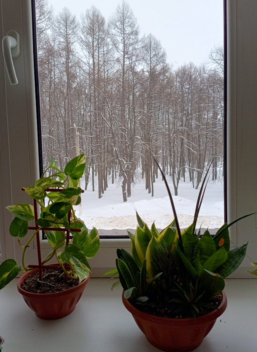 Мой вид из окна 🪟