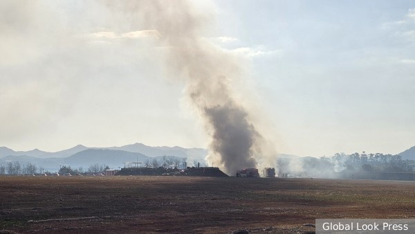     Фото: NEWSIS/XinHua/Global Look Press   
 Текст: Антон Антонов