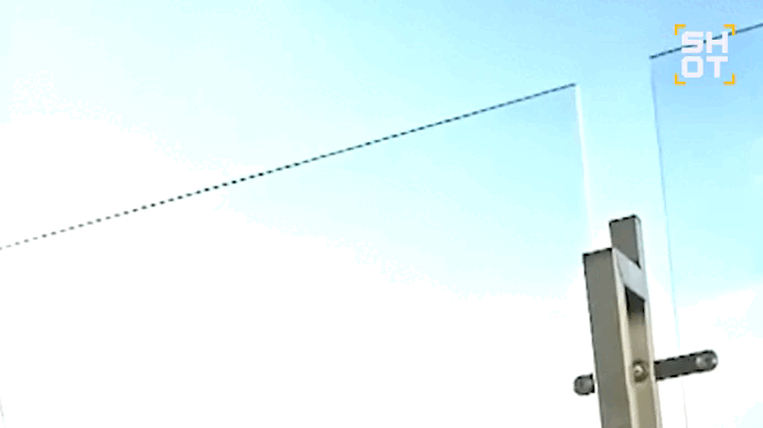    Момент вероятного попадания птицы Видео:SHOT