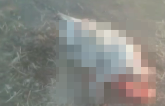    Источник фото: Скрин видео из соцсетей