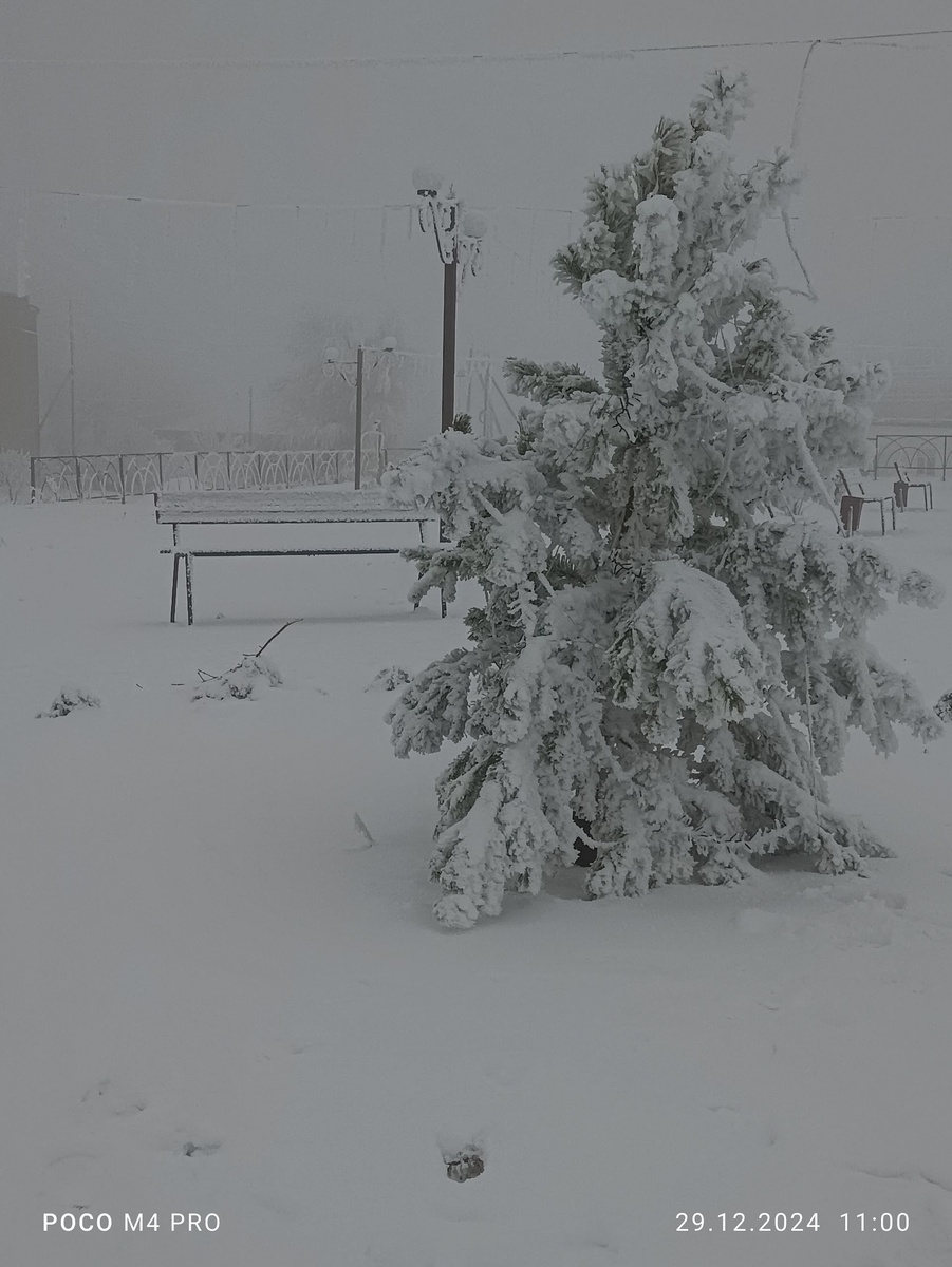 сегодня у нас вот так :)