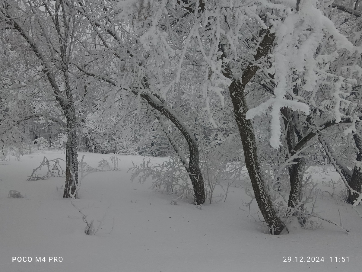 есть и ещё фото, но "это на Новый год!" (с) )))