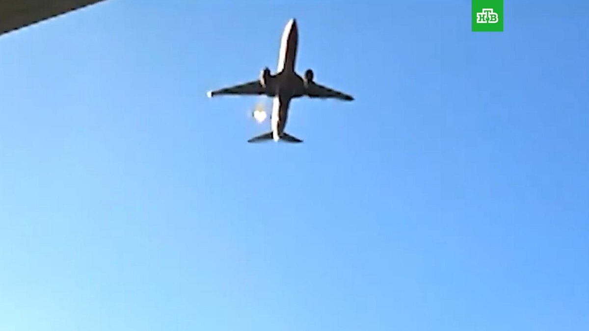    Птица попала в двигатель Boeing 737, разбившегося при посадке в Республике Корея