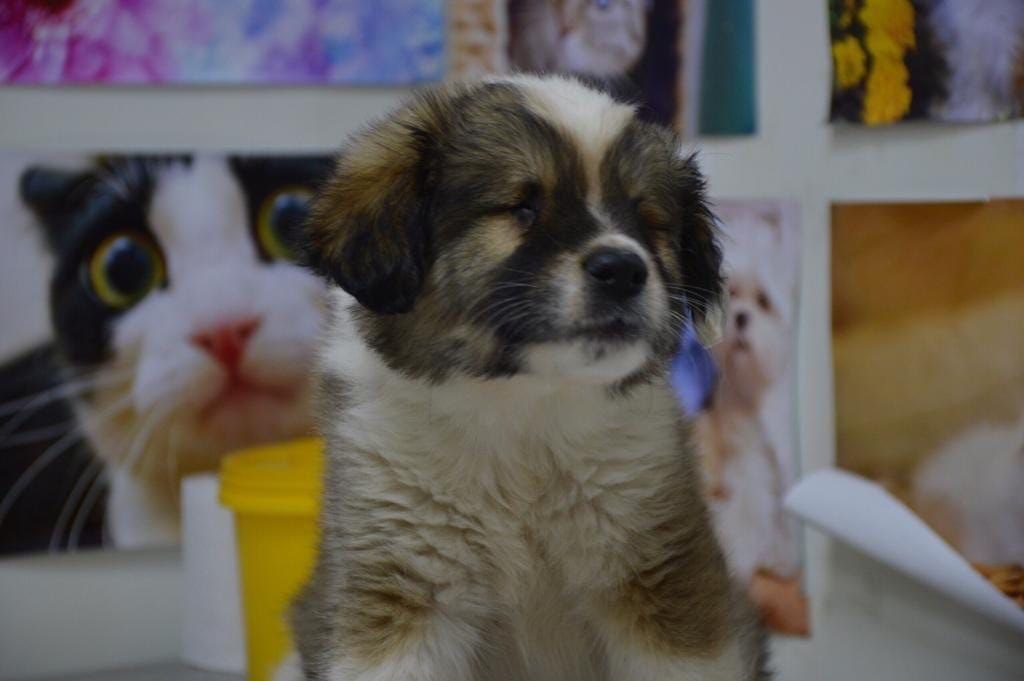 Особенный с самого рождения...