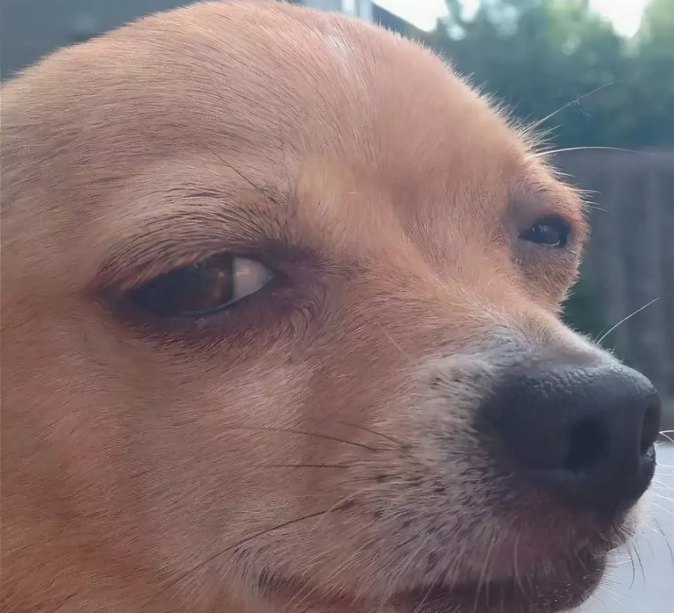 Картинка с просторов интернета