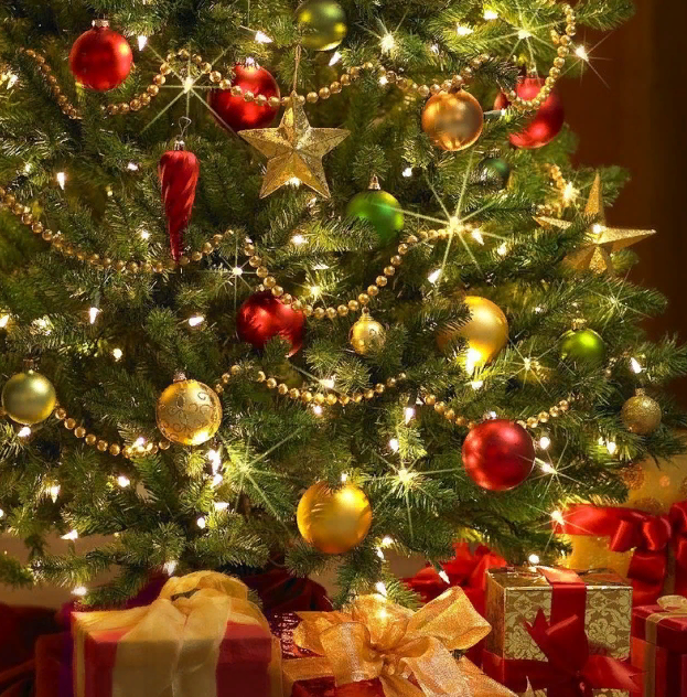 Фото из свободного доступа сети Интернет