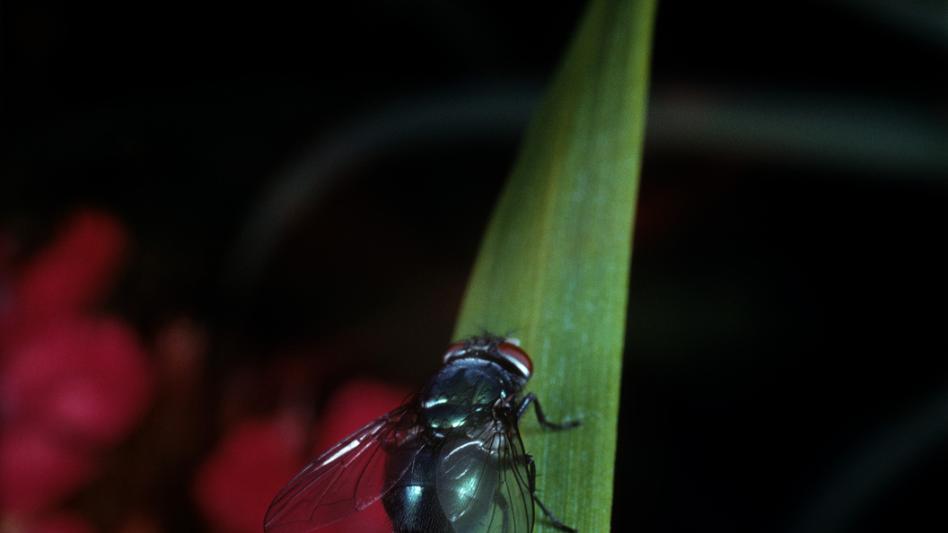    ФОТО: Vadim Nekrasov/Globallookpress