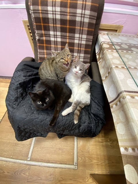 Фото из соцсетей ВКонтакте из моего поста