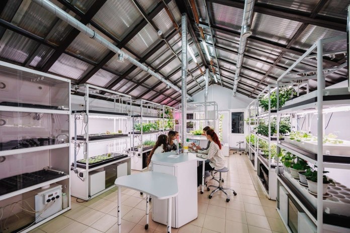    Фото: телеграм-канал Павла Малкова