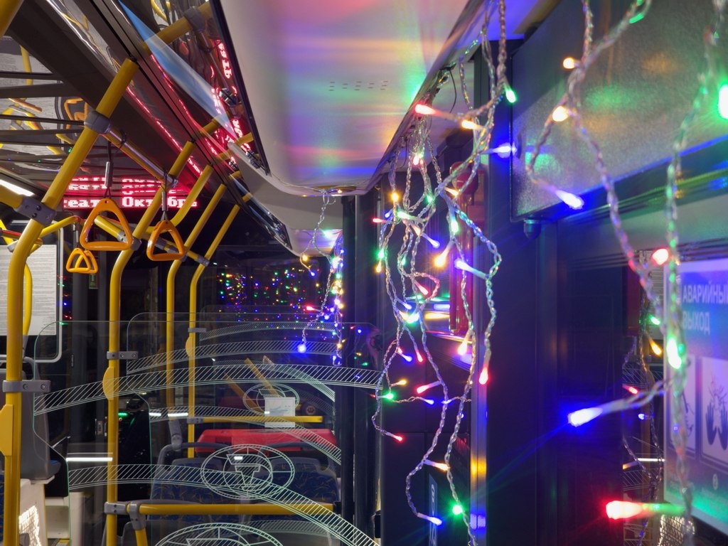    Фото: администрация Рязани Валерия Мединская