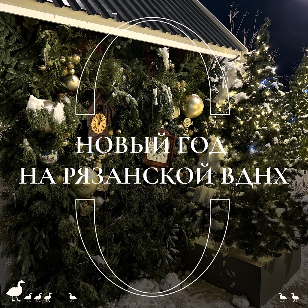    фото Рязанской ВДНХ 7info7