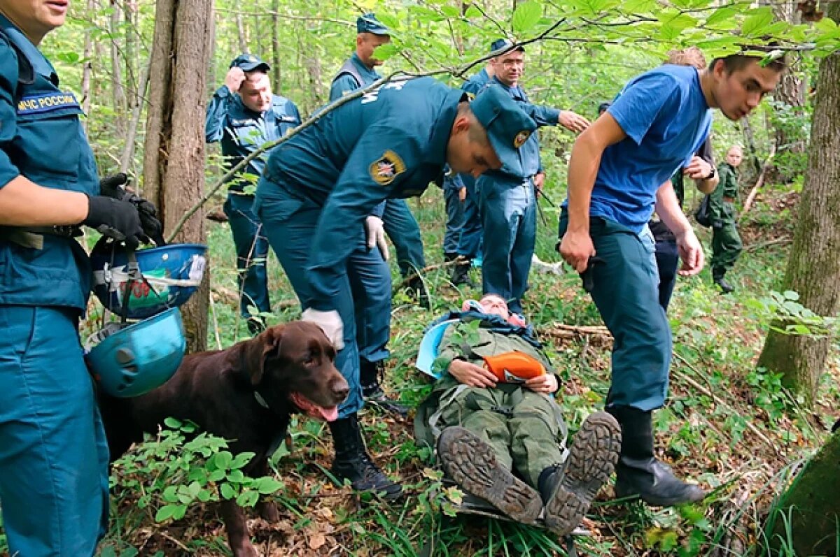    85 человек нижегородцев пропали за месяц до нового года