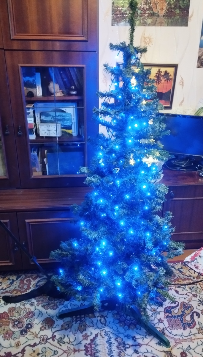 Ёлка и мохнатый разбойник