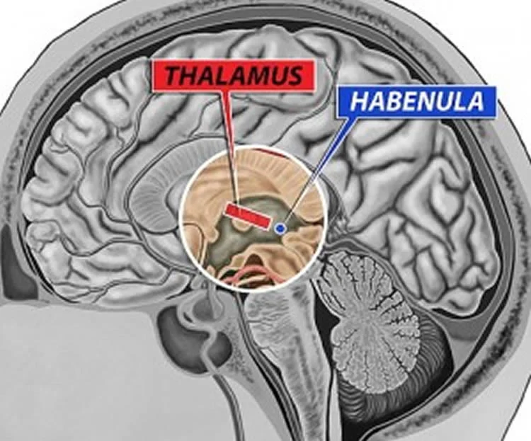 Это она в масштабе такая маленькая. А значение имеет очень даже большое, как выяснилось