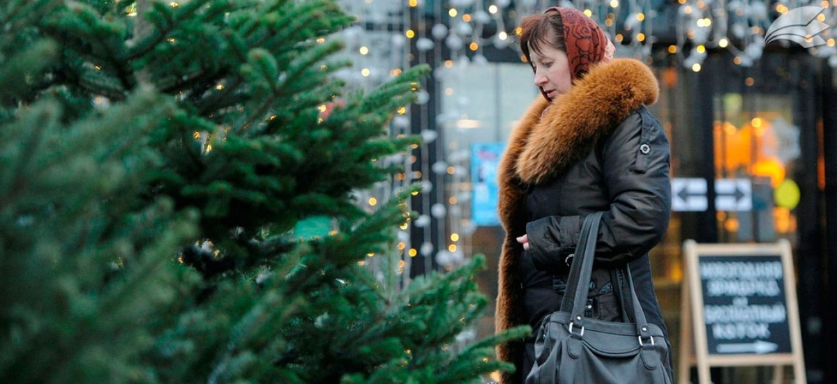 искуссвеная или живая? Фото из открытых источников.