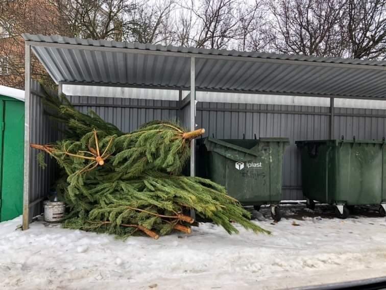 И вот так каждый год в каждом дворе. Знакомая картина? Фото из открытых источников