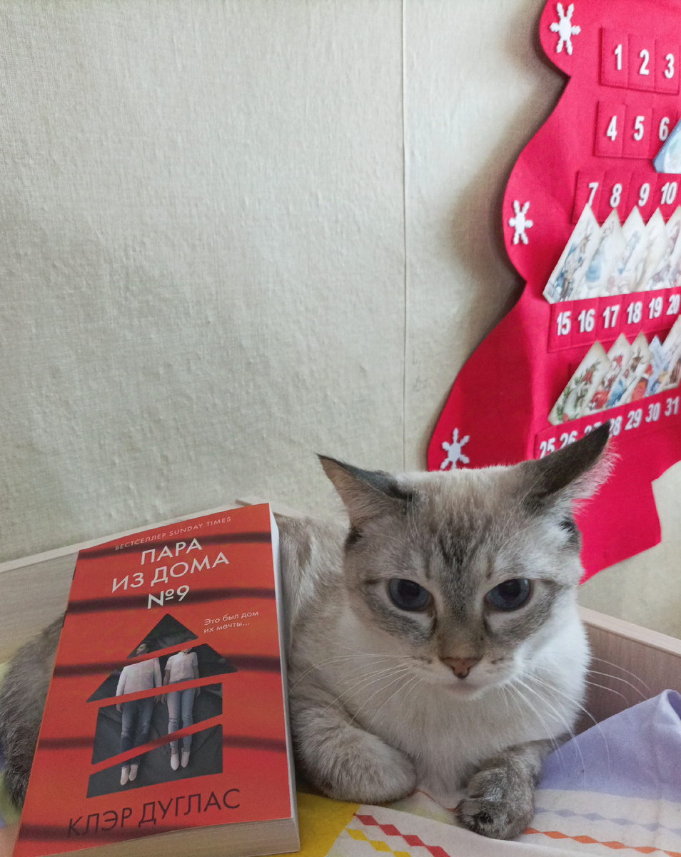 Сегодня книгу в мягкой обложке из Фикс Прайса представляет Дженька на фоне Никиного и Максиного рождественского адвент календаря.