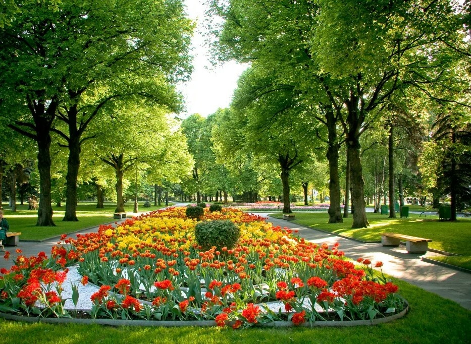 Городской парк.