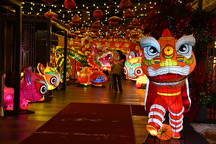    «Змея — одна из самых таинственных и загадочных фигур в восточной астрологии. Считается, что она символизирует мудрость, интуицию и стратегическое мышление».   
Фото: © Komsomolskaya Pravda / Global Look Press /