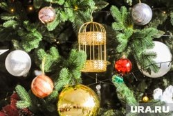    Ведущими «Новогодней ночи на Первом» станут Анна Шатилова, Леонид Якубович, Лариса Гузеева и другие