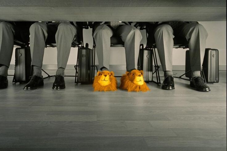 Источник Яндекс.Картинки 