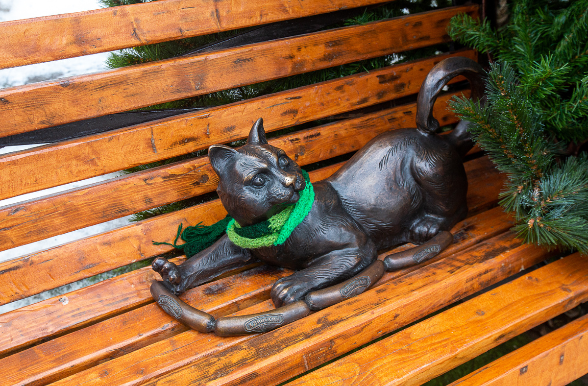 Памятник коту Модесту. Клин, Московская область. Фото автора статьи 