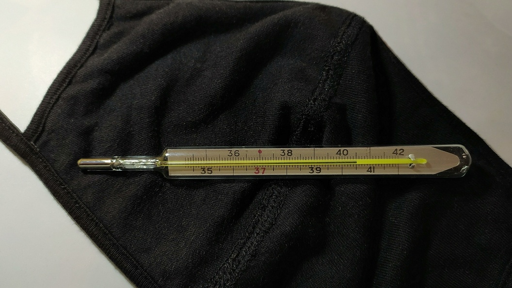    фото: Victor Lisitsyn, Виктор Лисицын//Globallookpress