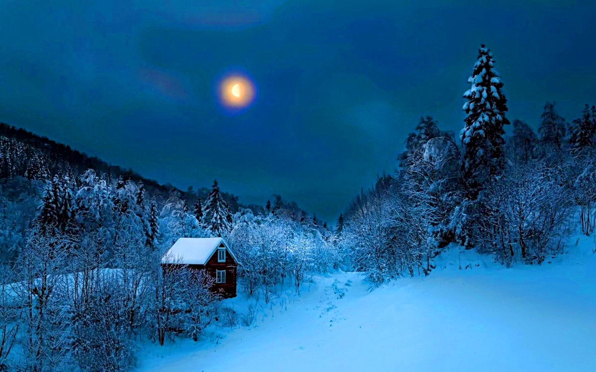 Фото взято из интернета.