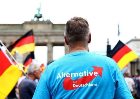    Илон Маск намерен привести к победе «Альтернативу для Германии»