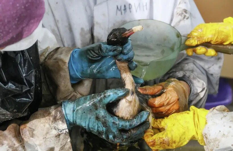     © РИА Новости. Алексей Майшев