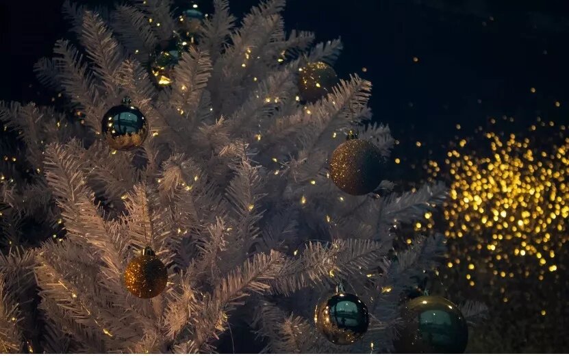    Предпоследний день перед праздником: как знаки Зодиака проведут 30 декабря и что их ждет в канун главной ночи года