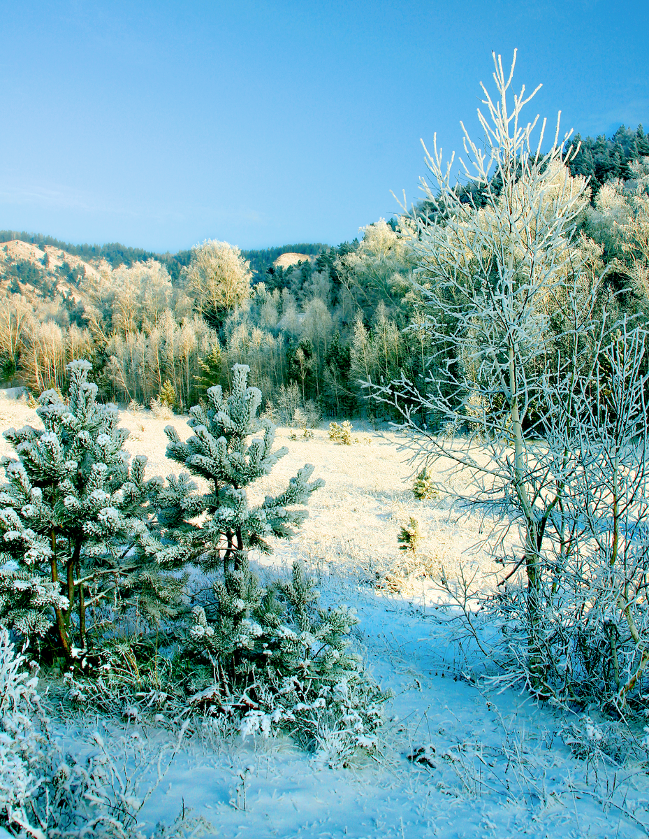 Фотография, стихотворение Василия Глуцкого