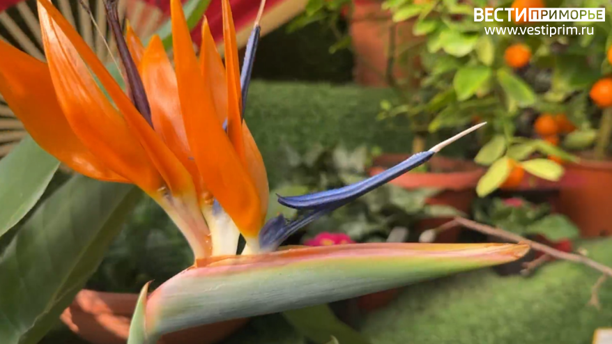    Источник фото: