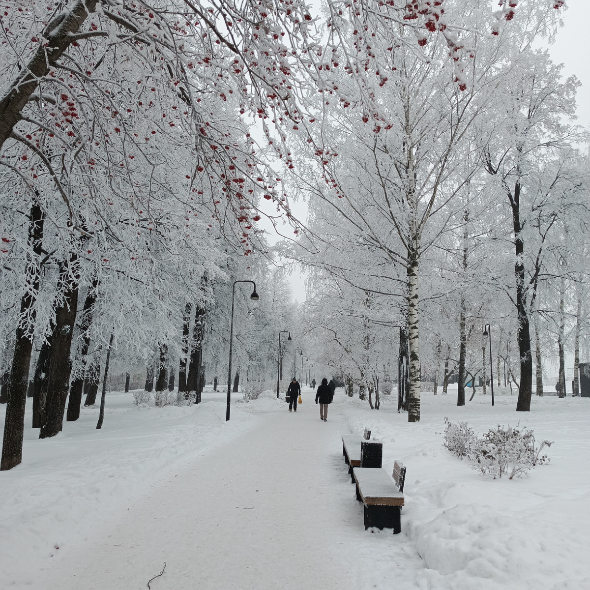Зимний сон природы