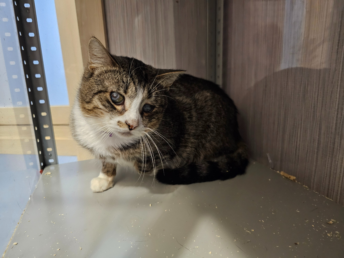 Фото автора. Арашик.