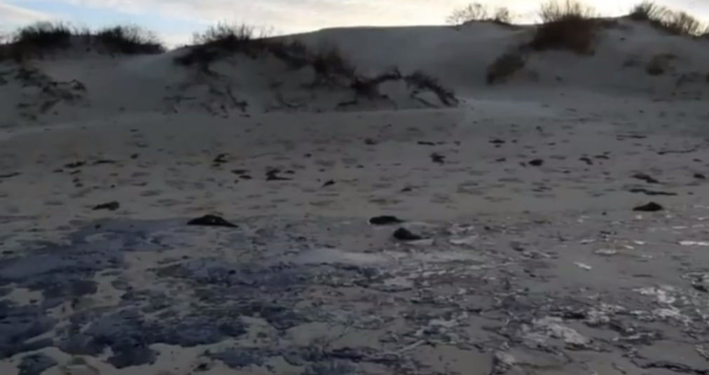    Фото: скрин видео соцсетей