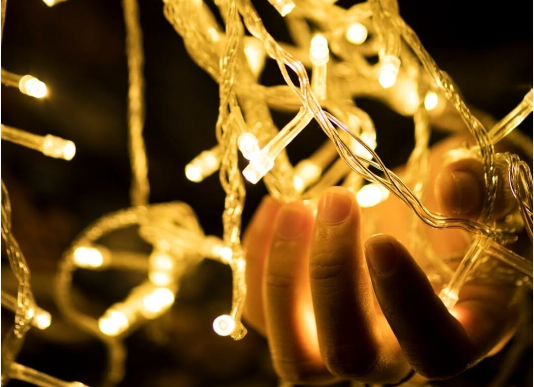 Фото: freepik.com/rawpixel-com