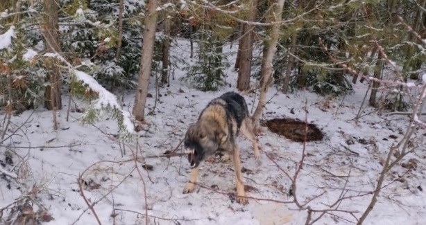 Да хватит фоткать меня уже!