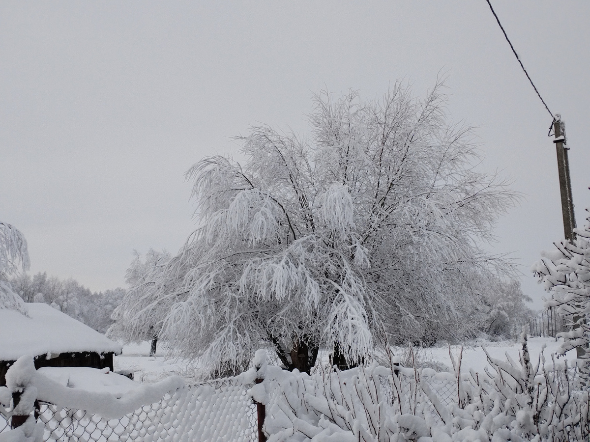 ПЕред прошлым Новым Годом.